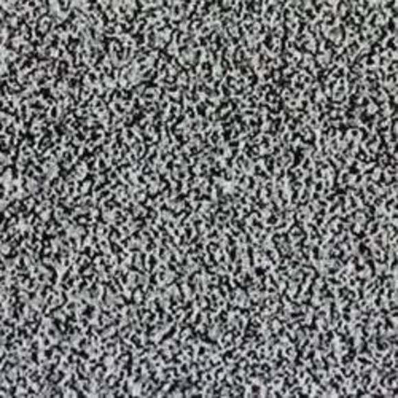 Meet your Posher, Calvin - Picture 1 of 1